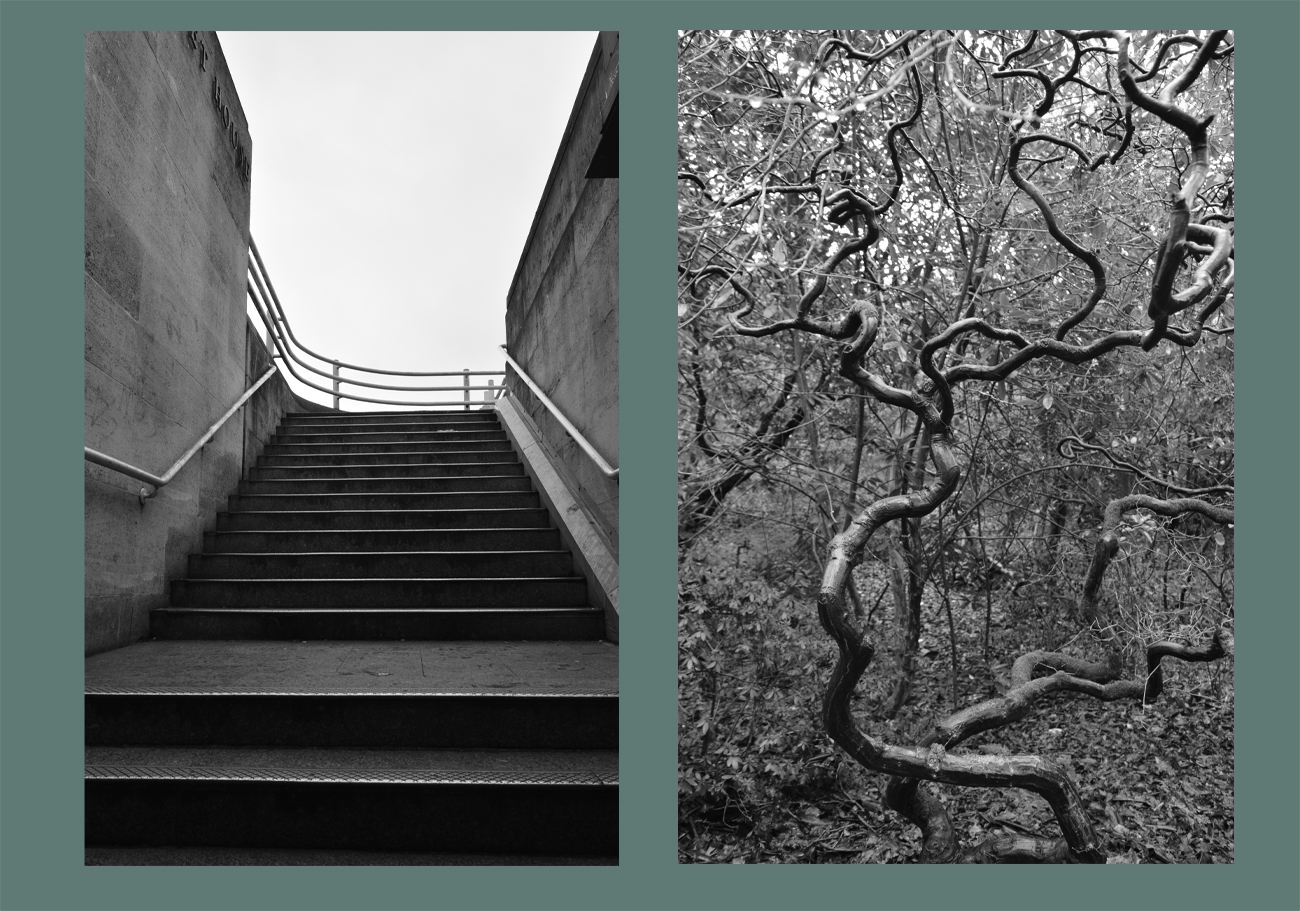 Untitled-8